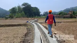 Kondisi sawah di Kabupaten Sukabumi yang terdampak kekeringan. Foto diambil di Kecamatan Ciracap pada Agustus 2026. | Foto: SU/Ragil Gilang