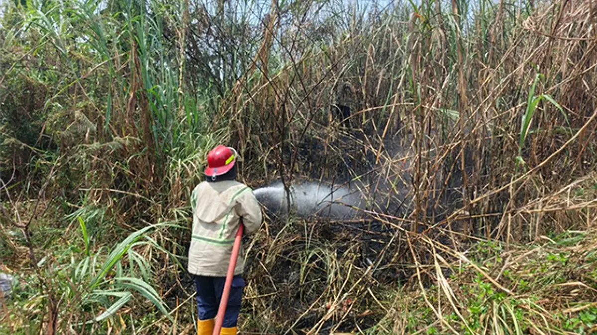 Sempat Bikin Panik Warga! Lahan Penuh Alang-alang di Karangtengah Sukabumi Terbakar