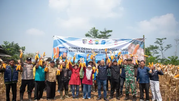 PT Doa Bangsa Agrobisnis (DBA) panen jagung hibrida DBA01 di Desa Jamali, Kecamatan Mande, Kabupaten Cianjur, Selasa (18/8/2026) | Foto : Istimewa