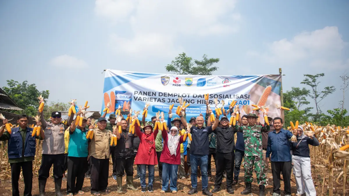 Panen Jagung DBA01 di Cianjur, Langkah PT Doa Bangsa Bangun Ekosistem Pertanian Jabar