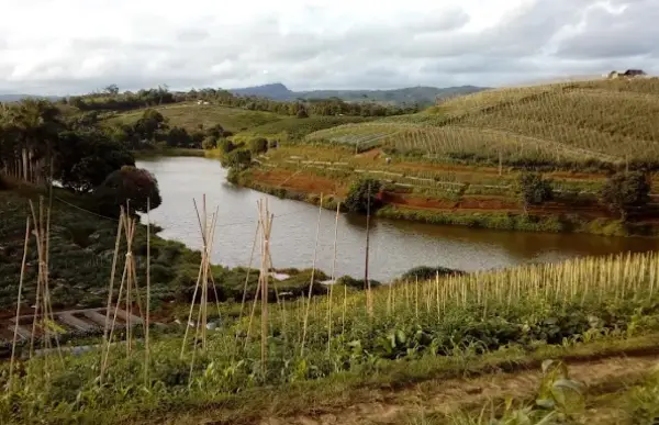 Situ Ciasmay, salah satu danau alami yang ada di Selatan Kabupaten Cianjur untuk menikmati libur akhir pekan. (Sumber : Gmaps/Haddy Hagunan)
