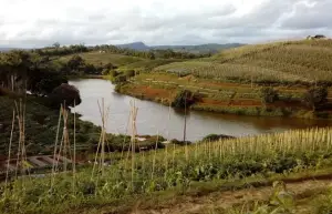 Situ Ciasmay, salah satu danau alami yang ada di Selatan Kabupaten Cianjur untuk menikmati libur akhir pekan. (Sumber : Gmaps/Haddy Hagunan)