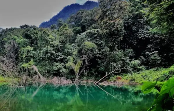 Situ Cikabuyutan salah satu danau alami di Garut Selatan yang bisa dijadikan destinasi wisata alam (Sumber : Gmaps/Noey Ibnoe)