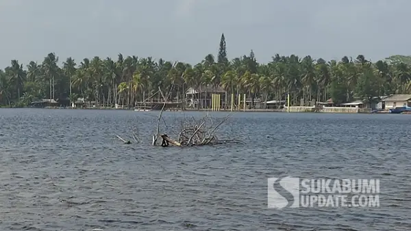Muara Cikaso dan Fenomena Bugel yang tengah berlangsung. (Sumber : SU/Ragil Gilang).