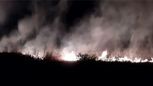 Lahan yang terbakar di Kampung Cikadal, Desa Mandrajaya, Kecamatan Ciemas, Kabupaten Sukabumi pada Kamis (20/08/2026). (Sumber : Screenshot Video Warga).