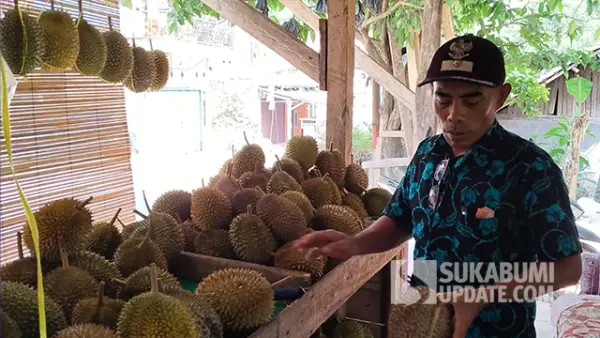 Jenal Abidin, pedagang durian asal Desa Sukamaju, Kecamatan Cikakak, Kabupaten Sukabumi. (Sumber : SU/Ilyas)