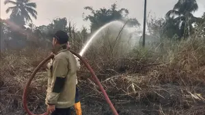 Petugas Damkar Posko V Cibadak memadamkan kebakaran lahan yang ditumbuhi alang-alang di Perumahan Green Valley, Desa Karangtengah, Kecamatan Cibadak, Kabupaten Sukabumi, Jumat (21/8/2026). (Sumber : Istimewa.)