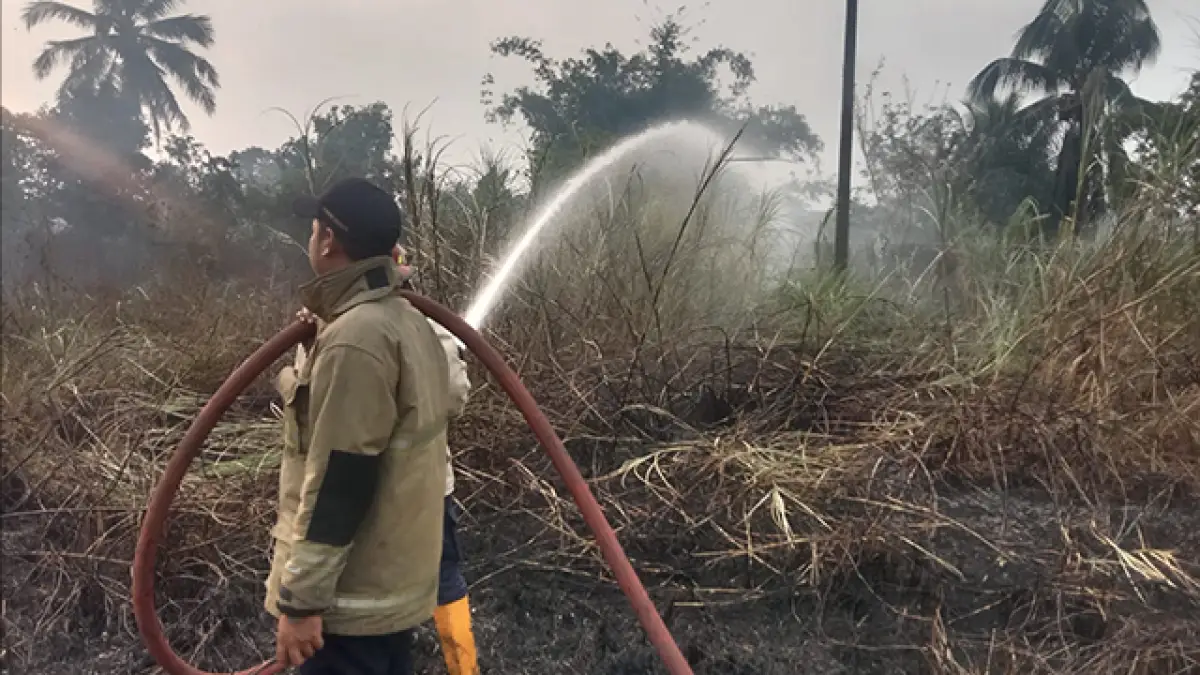 Api Hanguskan Lahan Alang-Alang di Area Perumahan Karangtengah Cibadak, Diduga Dibakar OTK
