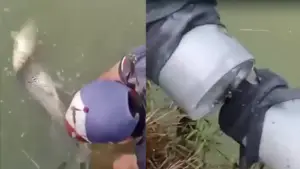 Ikan milik warga di Jampangkulon Sukabumi mati diduga karena pipa limbah SPPG bocor mengalir ke kolam. (Sumber : Video Screenshot Warga).