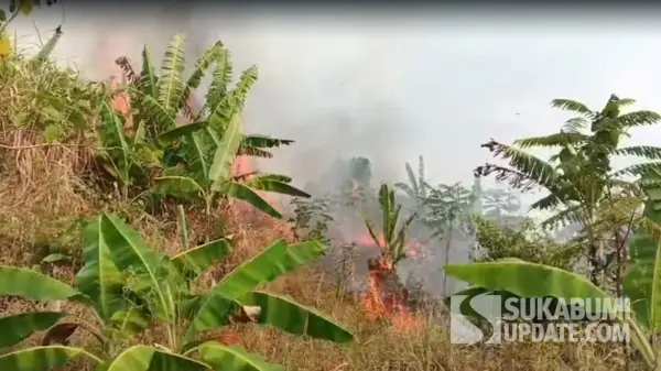 Tangkapan layar rekaman video kebakaran lahan di area kebun dekat Perumahan Taman Sari, Kampung Batusapi, Kelurahan/Kecamatan Palabuhanratu, Kabupaten Sukabumi, Minggu (23/8/2026). | Foto: Istimewa