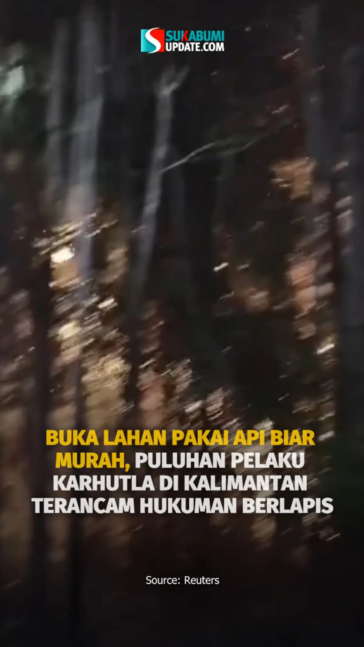72 Orang Tersangka Kasus Karhutla, Polri Ungkap Modus Demi Biaya Murah