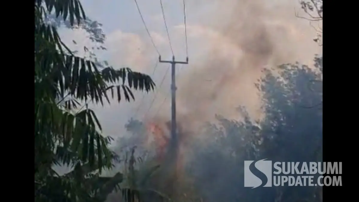 Kebakaran Lahan di Padabeunghar Sukabumi Ancam Jaringan Listrik
