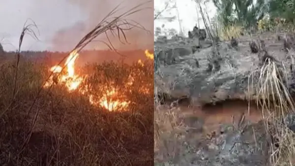 Tangkapan layar video 7 Hektare Lahan HGU di Sagaranten yang terbakar. (Sumber: Istimewa)
