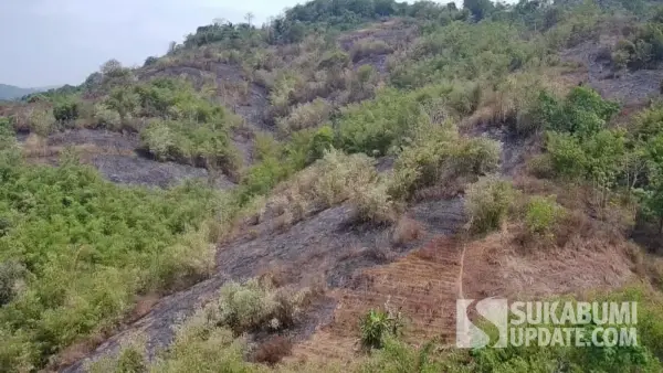 Kondisi terkini kawasan Gunung Geulis, Kampung Ciroyom, Desa Pabuaran, Kecamatan Pabuaran, Kabupaten Sukabumi, usai kebakaran hutan dan lahan (karhutla) yang terjadi sejak Selasa (25/8/2026) malam. (Sumber Foto: Istimewa)