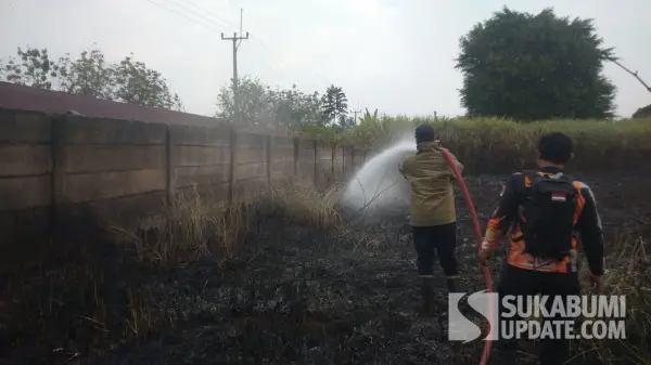 :Petugas Damkar Posko V Cibadak melakukan pemadaman kebakaran lahan alang-alang di Ciambar Kabupaten Sukabumi, Rabu (26/8/2026). (Sumber Foto: Istimewa)