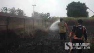 :Petugas Damkar Posko V Cibadak melakukan pemadaman kebakaran lahan alang-alang di Ciambar Kabupaten Sukabumi, Rabu (26/8/2026). (Sumber Foto: Istimewa)