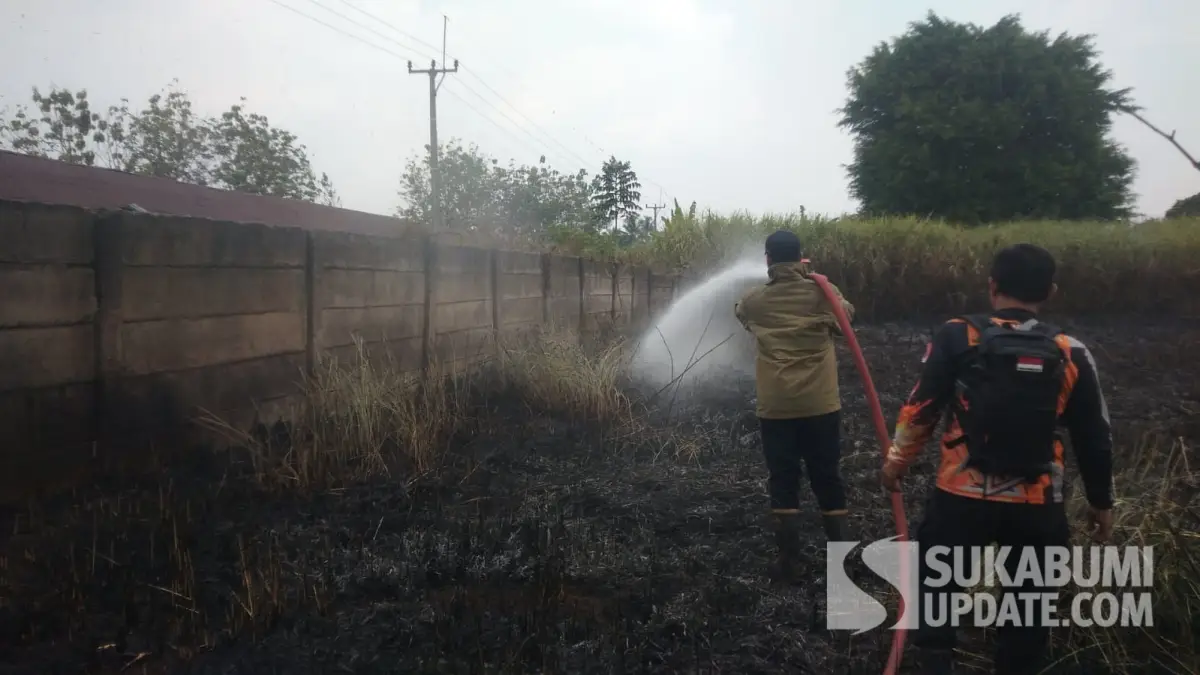 2 Hektare Lahan di Ciambar Sukabumi Terbakar, Api Nyaris Merambat ke Permukiman