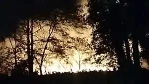 Api berkobar hingga malam, kebakaran lahan limbah triplek di Cikembar Sukabumi (Sumber: dok damkar)