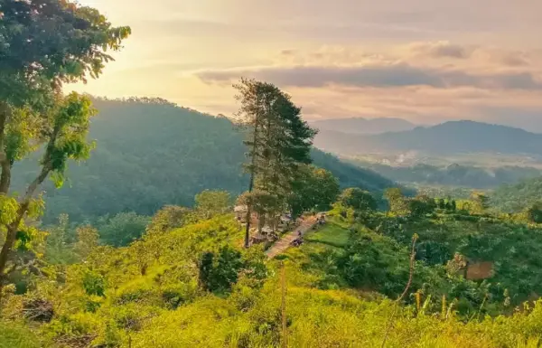 Bukit Trawangan atau Bukit Bedeng adalah salah satu destinasi wisata yang bisa digunakan untuk tujuan trekking dan menikmati Cianjur dari ketinggian (Sumber : Gmaps/BEDENG trip)