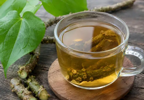 Ilustrasi rebusan Brotowali minuman herbal bantu kontrol gula darah (Sumber : Ai Chatgpt)