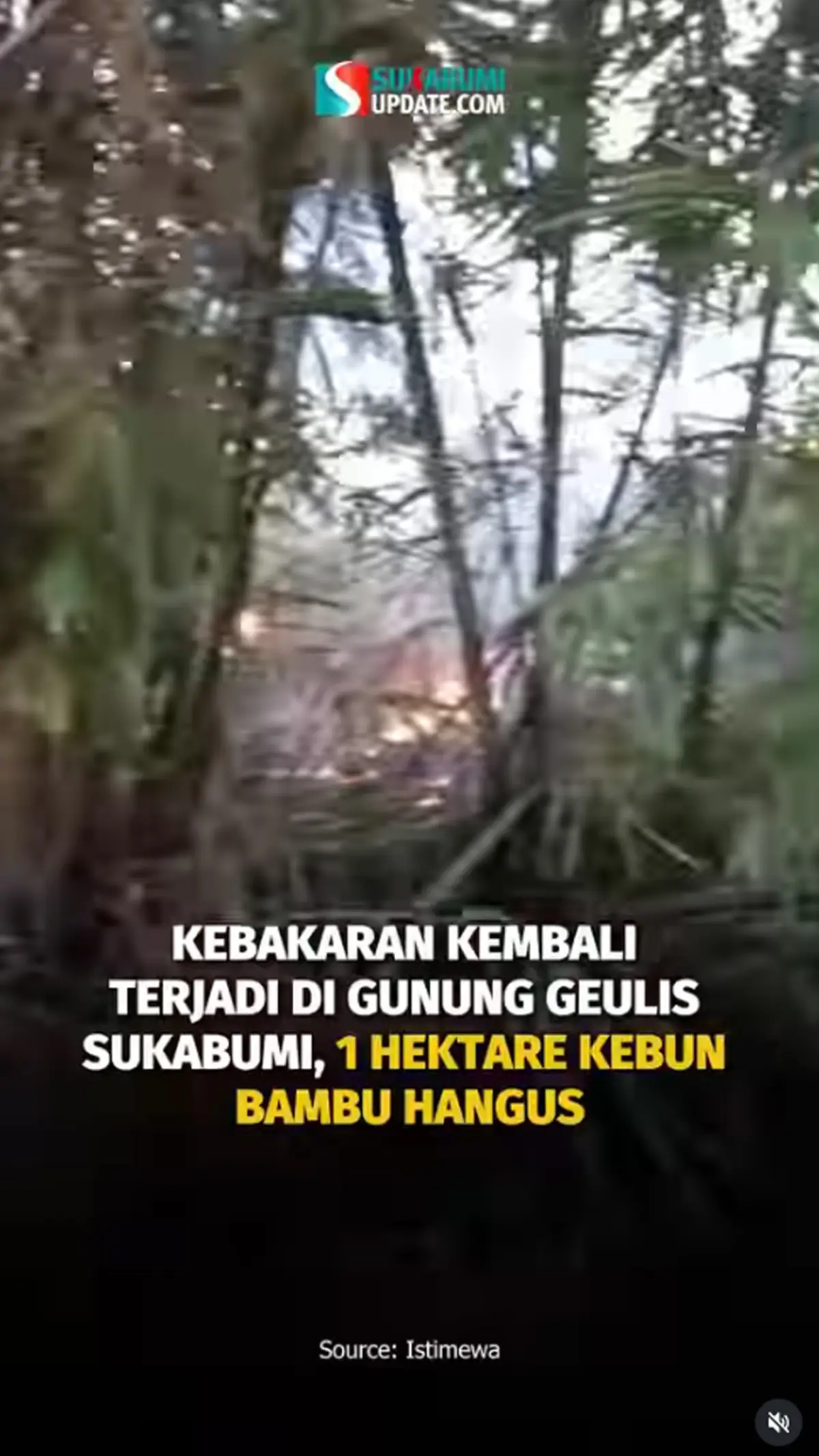 Kebakaran Kembali Terjadi di Gunung Geulis Sukabumi, 1 Hektare Kebun Bambu Hangus