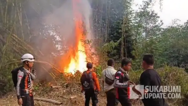 Petugas gabungan saat berupaya memadamkan api yang membakar rumpun bambu di perbatasan Cibadak-Nagrak Sukabumi, Kamis (3/9/2026). (Sumber Foto: Istimewa)