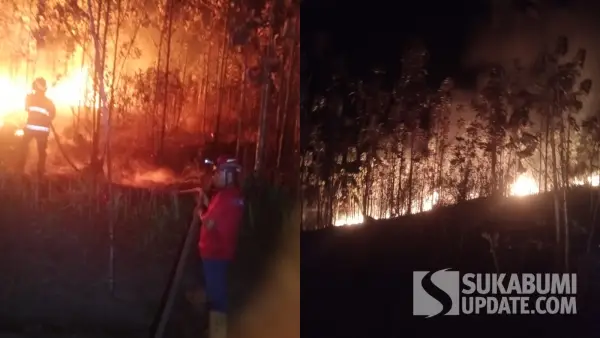 Petugas saat melokalisasi titik api agar tidak merembet ke permukiman. Kurang lebih satu hektare lahan jati terbakar di Bantargadung Sukabumi, Kamis (3/9/2026). (Sumber Foto: P2BK Bantargadung)