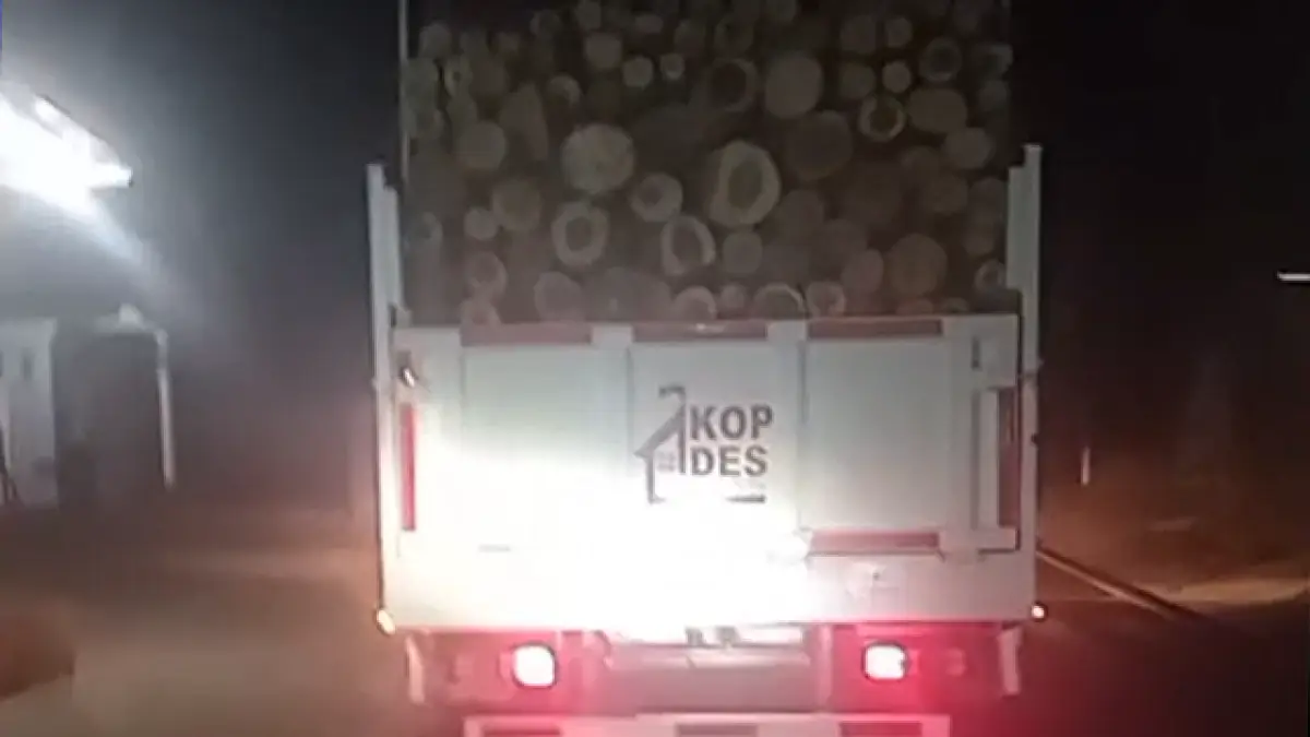 Truk KDMP Kedapatan Angkut Gelondongan Kayu di Jalur Jampangtengah-Kiaradua Sukabumi