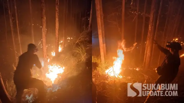 Petugas saat mencoba memadamkan kebakaran lahan kebun jati di Desa Cidadap Kecamatan Simpenan Kabupaten Sukabumi, Jumat (4/9/2026) malam. (Sumber Foto: P2BK Simpenan)