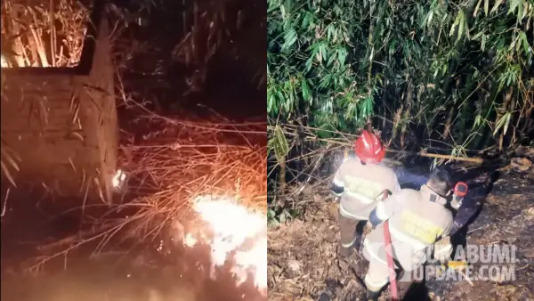 Kolase foto saat api membakar lahan bambu belakang SMAN 2 Kota Sukabumi dan foto petugas Damkar di lokasi. (Sumber Foto: Istimewa)