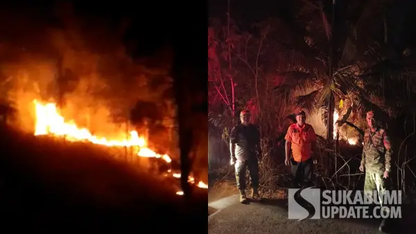 Kebakaran melanda lahan Perkebunan Kayu Putih Perhutani di Cidadap Sukabumi Sabtu (5/9/2026) malam. (Sumber Foto: Istimewa)