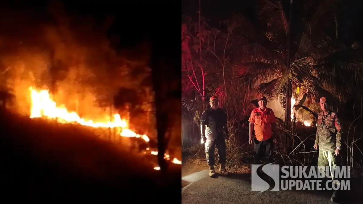 Diduga Akibat Ulah Manusia, Lahan Kayu Putih Perhutani di Cidadap Sukabumi Kebakaran
