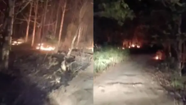 Sejumlah titik api di kawasan Perhutani Resort Pemangkuan Hutan (RPH) Karang Bolong, Desa Cidahu, Kecamatan Cibitung, Kabupaten Sukabumi. (Sumber: Dok Warga)