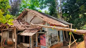 Sebuah rumah yang tertoimpa pohon karet di Desa Cidadap, Kecamatan Cidadap, Kabupaten Sukabumi, Minggu (6/9/2026) siang. (Sumber: Istimewa)