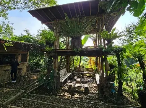 Saung Jalu adalah salah satu tempat ngopi yang tersembunyi di balik hijaunya kawasan Perbawati Selabintana, Sukabumi. (Sumber : Gmaps/Ridwan Tejalesmana)