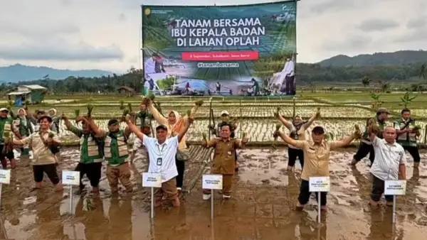 Gerakan tanam padi di lahan Optimasi Lahan (Oplah) Kecamatan Gunungguruh Sukabumi, Selasa 8 September 2026. (Sumber: dok distan)