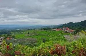 Bukit Menir Panenjoan salah satu tempat untuk menikmati libur akhir pekan di Bogor. (Sumber : Gmaps)