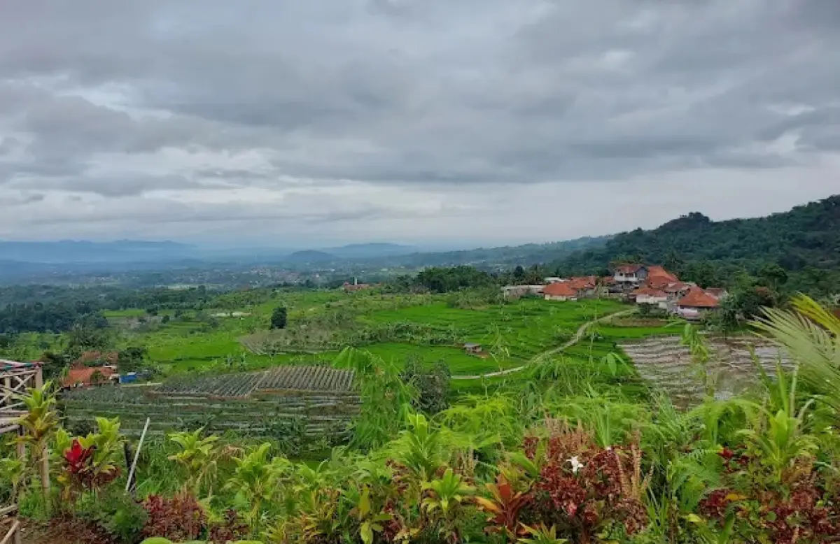 Bukit Menir Panenjoan Bogor, Wisata Alam dengan Panorama Sawah Terasering