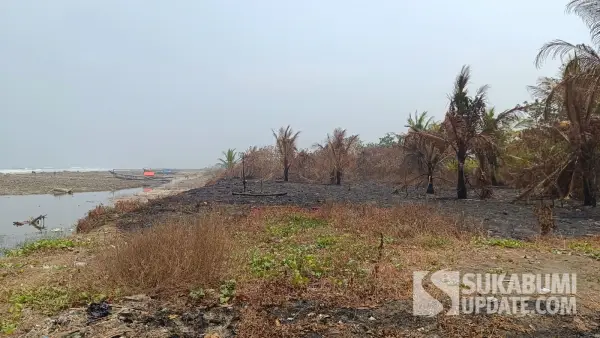 Lokasi tanah timbul seluas sekitar 4 hektare di kawasan pesisir Pantai Loji, Kecamatan Simpenan, Kabupaten Sukabumi. (Sumber Foto: SU/Ilyas)