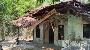 Rumah milik Masriah (60), warga Kampung Warudoyong, Desa Sukatani, Kecamatan Surade, Kabupaten Sukabumi, ambruk pada Minggu (13/9/2026). (Sumber Foto: Istimewa)