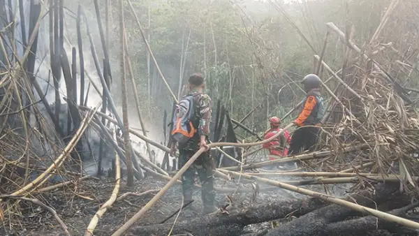 Proses pemadaman kebakaran lahan di Kampung Benda RT 01/RW 06, Desa Karangtengah, Kecamatan Cibadak, Kabupaten Sukabumi, Senin (14/9/2026). (Sumber : Istimewa.)