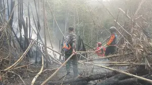 Proses pemadaman kebakaran lahan di Kampung Benda RT 01/RW 06, Desa Karangtengah, Kecamatan Cibadak, Kabupaten Sukabumi, Senin (14/9/2026). (Sumber : Istimewa.)