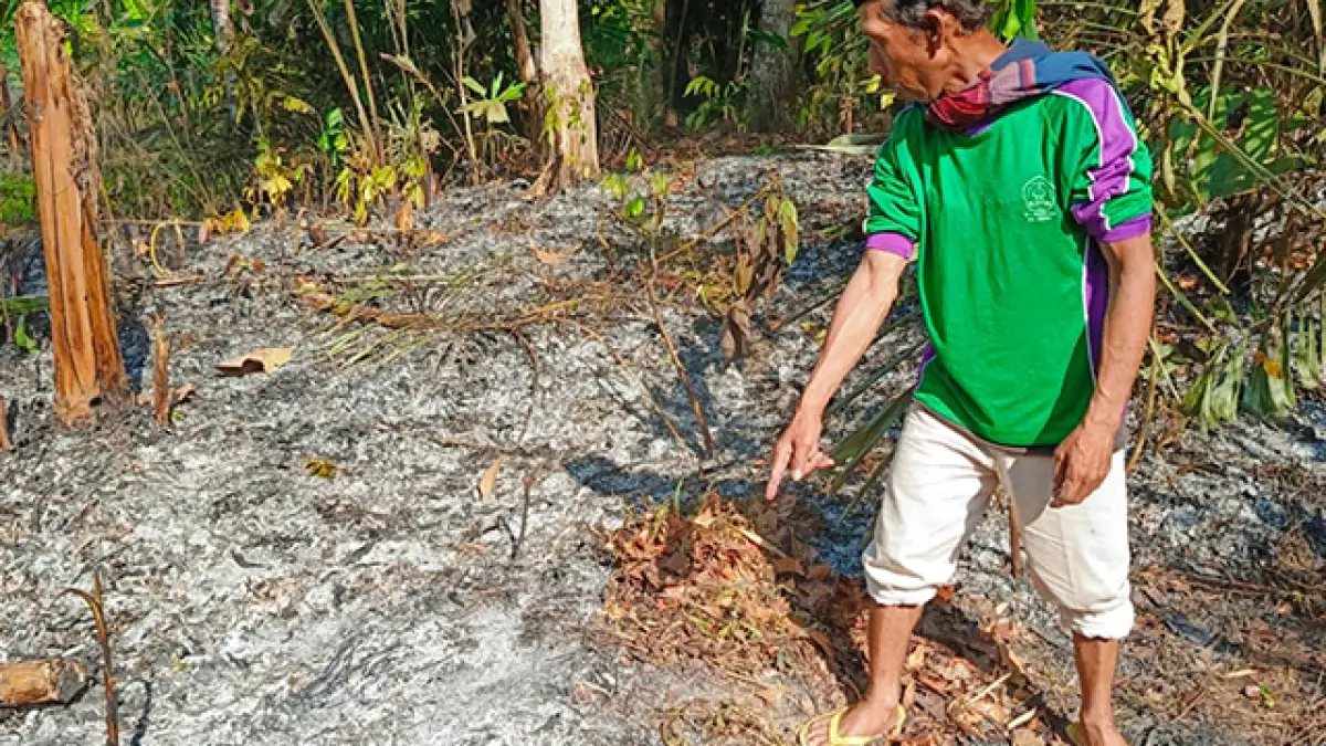 Karhutla di Sukabumi Telan Korban Jiwa, Nenek di Cidadap Meninggal Saat Padamkan Api