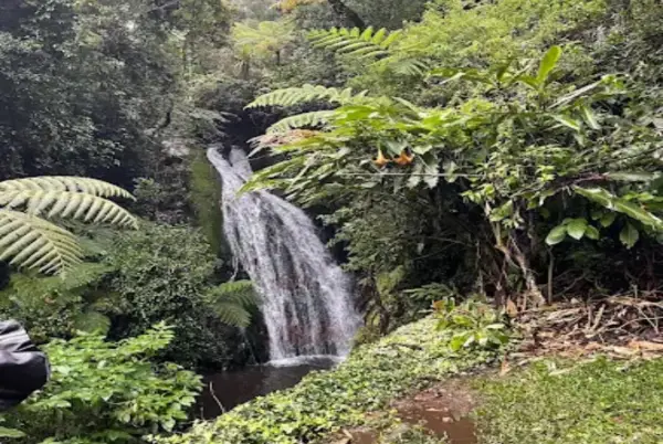 Curug Bentang Padjajaran, salah satu air terjun eksotis yang ada di Selatan Bandung. (Sumber : Gmaps)