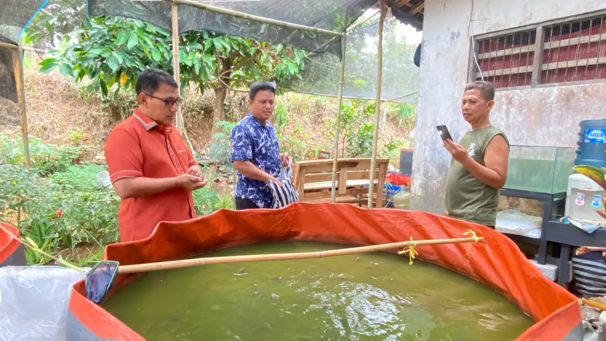 Dewan Jabar Yusuf Maulana Serap Keluhan Pembudi Daya Lele di Palabuhanratu