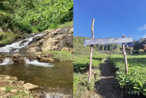 Curug Halimun Rancabali, salah satu air terjun yang dikelilingi perkebunan teh di Bandung. (Sumber : Gmaps)
