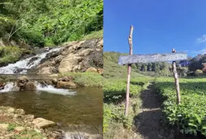 Curug Halimun Rancabali, salah satu air terjun yang dikelilingi perkebunan teh di Bandung. (Sumber : Gmaps)