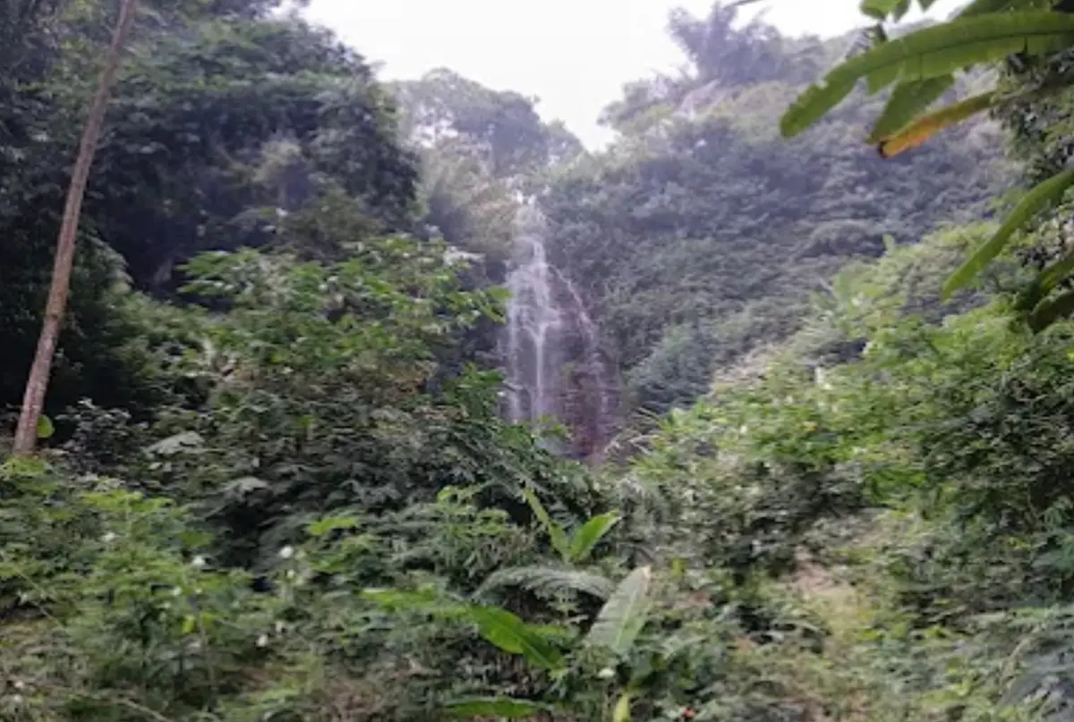 Tersembunyi di Cimaung, Curug Cipinang Jadi Pesona Wisata Alam Kabupaten Bandung