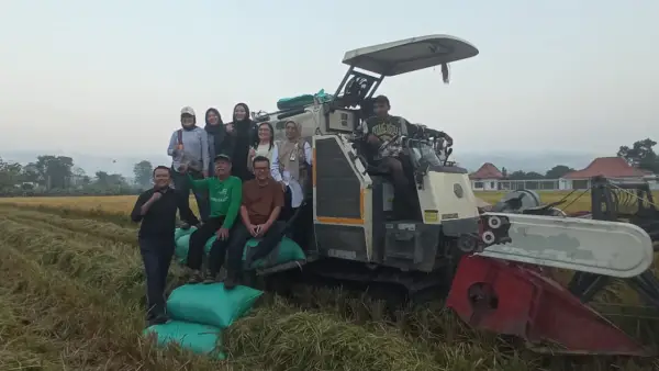 Panen raya demplot budidaya padi di Bantul dilaksanakan pada Selasa (15/9/2026). (Sumber: Istimewa)