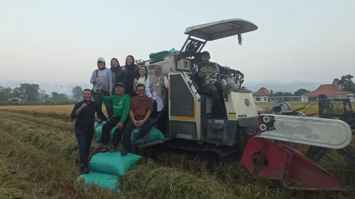 Panen Tembus 10 Ton per Hektare, Kementan Dorong Pemupukan Berimbang Pureplant Diperluas